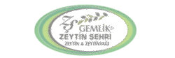 zeytİn Şehrİ 300x100 px
