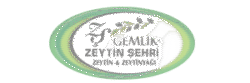 zeytİn Şehrİ 300x100 px